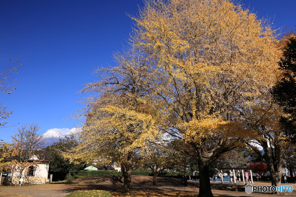 富士の見える公園で。