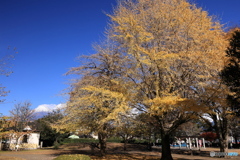 富士の見える公園で。