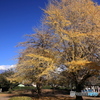 富士の見える公園で。
