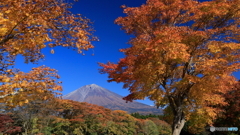 富士・秋景 -2 (564T)