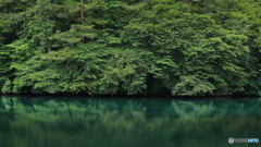 緑の湖畔