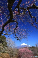 富士、遥か -2 (681T)
