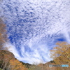 うろこ雲が・・