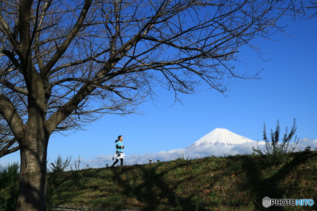 去年の今頃は・・