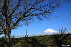 去年の今頃は・・