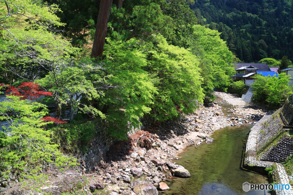 新緑の室生川 -2