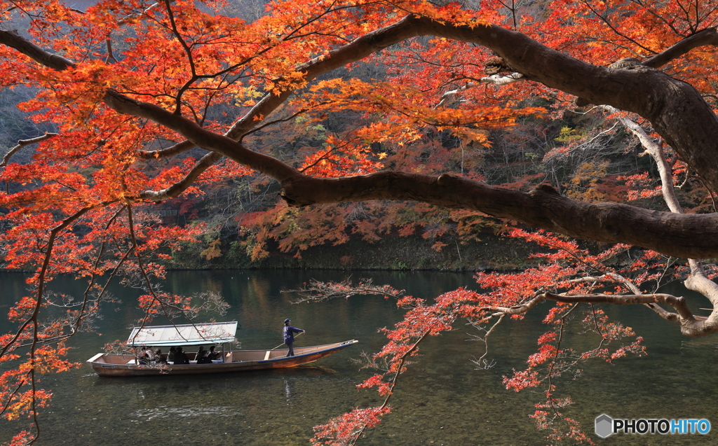 桂川を往く屋形舟