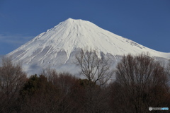 雪の富士 (415T)
