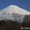 雪の富士 (415T)