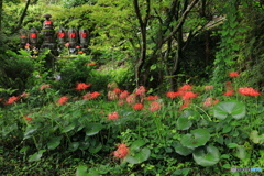 お地蔵さまと彼岸花