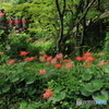 お地蔵さまと彼岸花