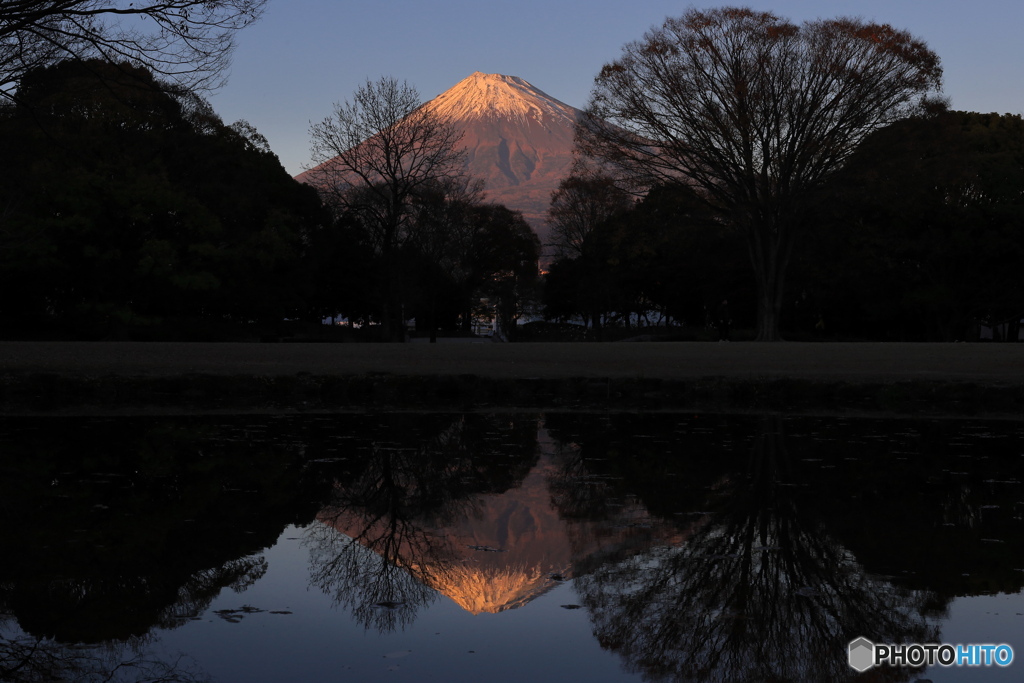 富士・夕照