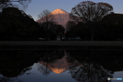 富士・夕照