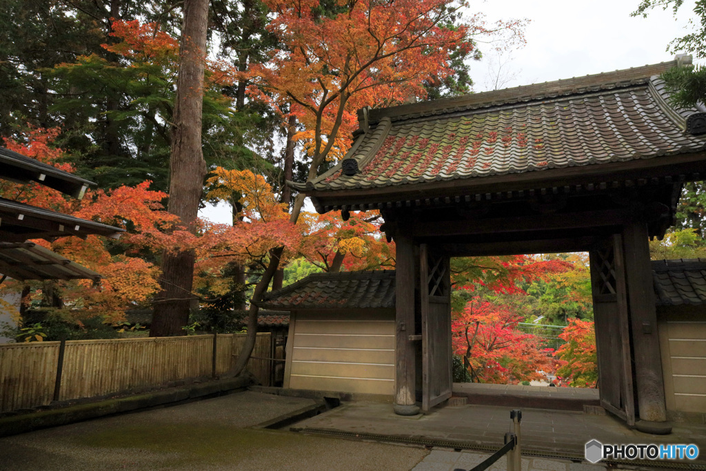 秋の総門