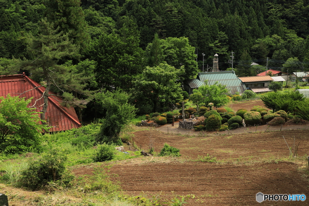 芦川村で