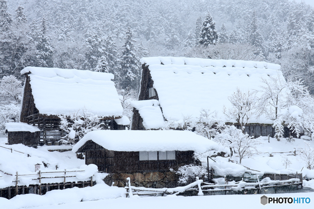 雪降る里山 (510T)