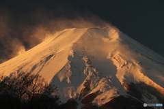 朝焼け富士 その５金色に光る粉雪