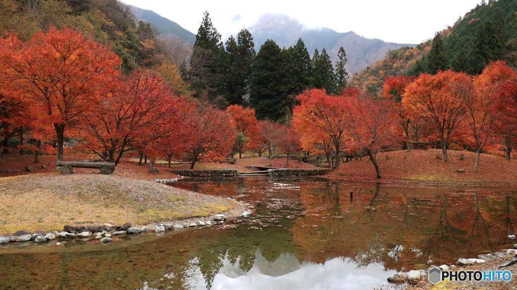 山上のモミジ公園で