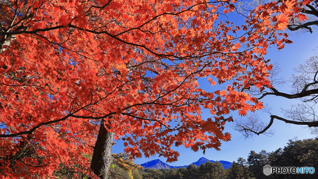 遠望・磐梯山