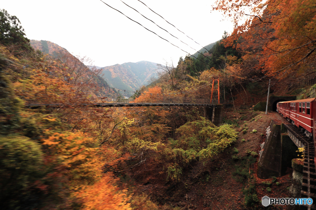 車窓の紅葉