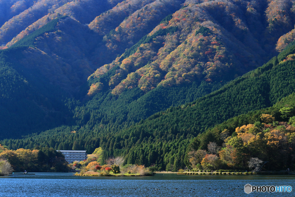 湖畔の彩り (306T)