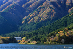 湖畔の彩り (306T)