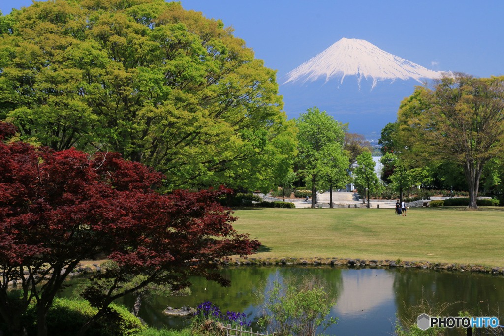 いつもの富士 -16：富士中央公園で