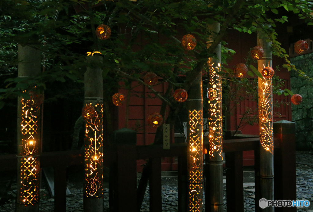 竹あかりの宵  (202T)