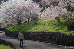 家路