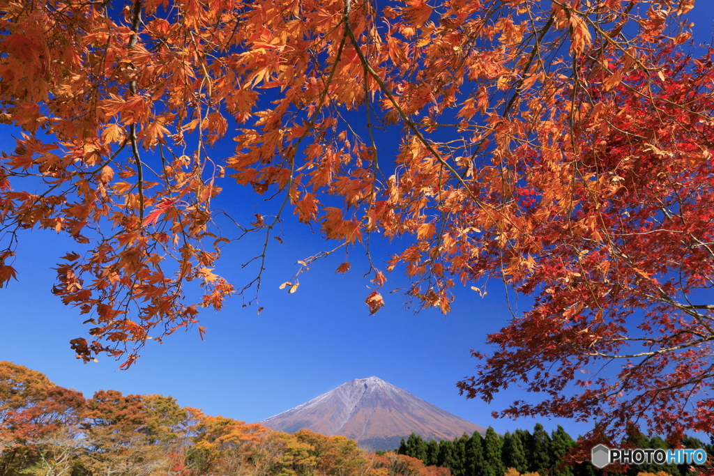 富士、秋景 -1