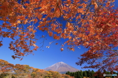 富士、秋景 -1