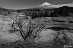 棚田寸景