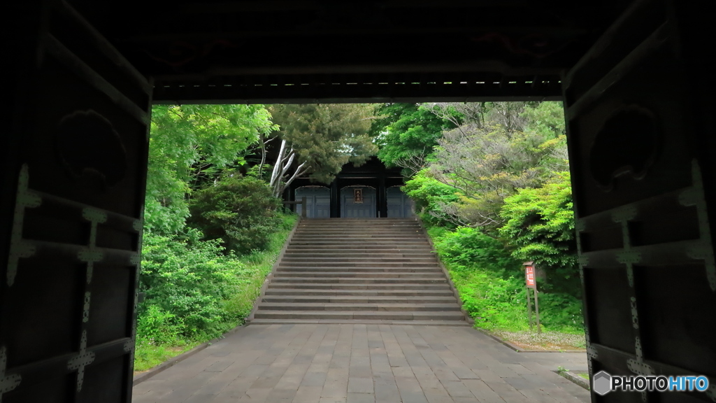 新緑の境内