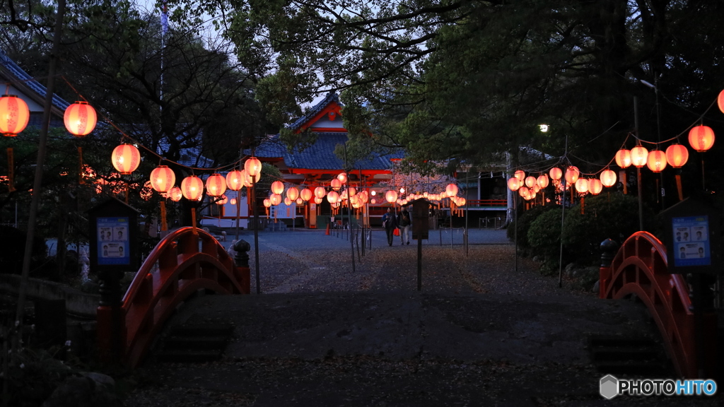 桜提灯