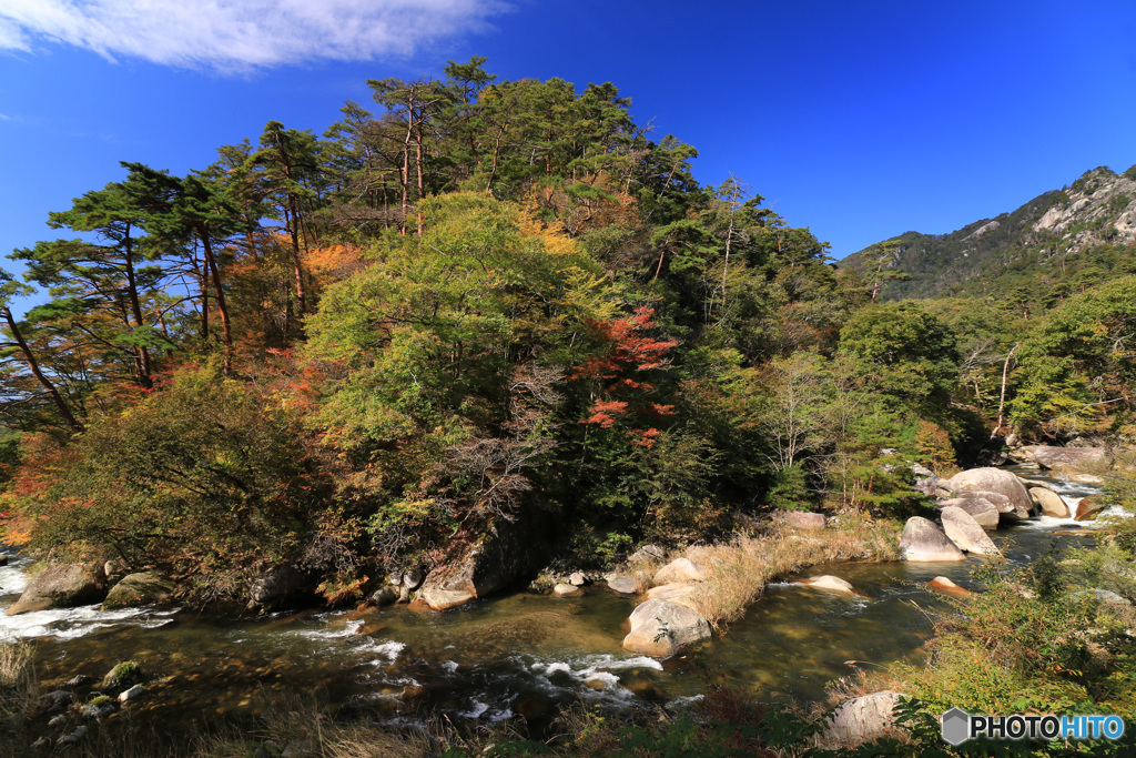 秋色の流れ (302T)