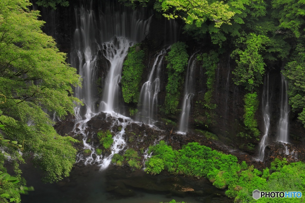 新緑の滝・俯瞰