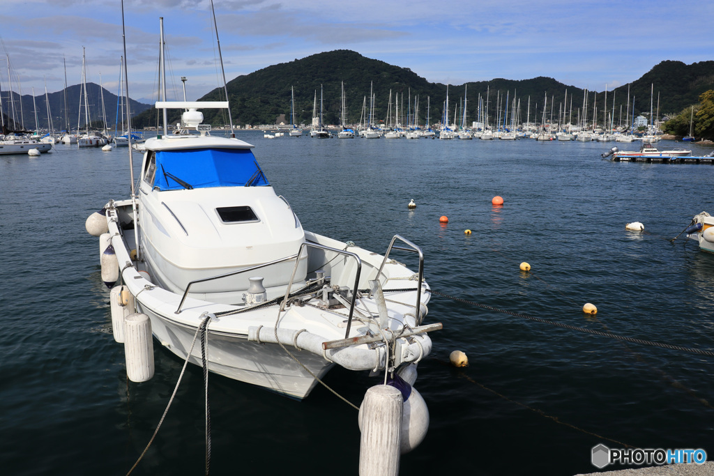 ヨットハーバーで