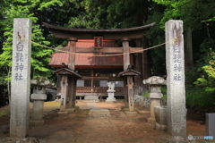 芦川村散策 -11 白髭神社で