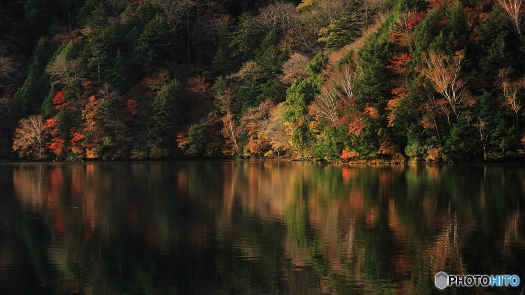 山上湖の朝 -1 (735T)