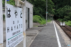 小さな点検車