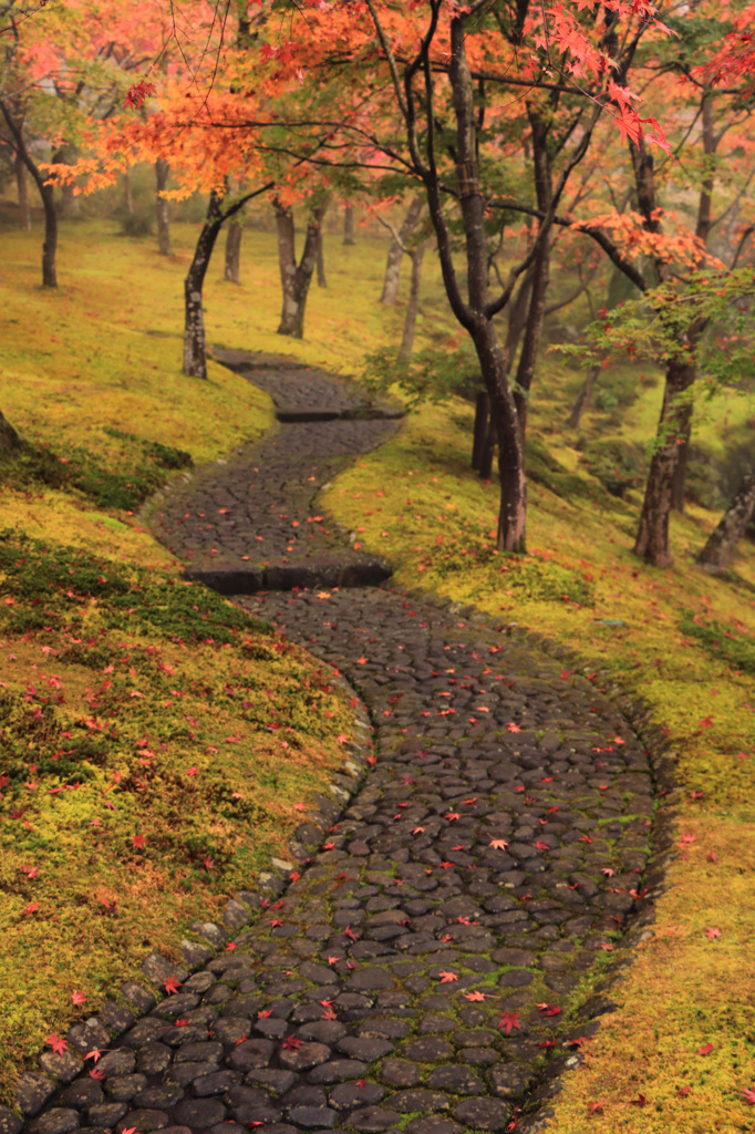 雨上がりの路