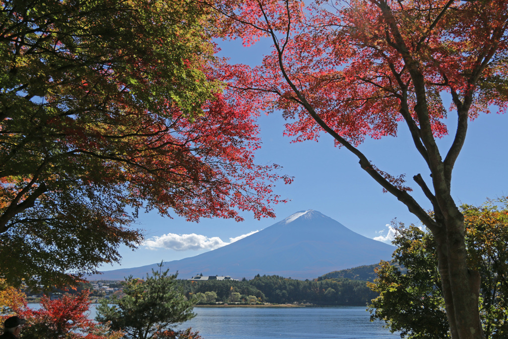 河口湖の秋