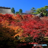 里山の秋 (566T)