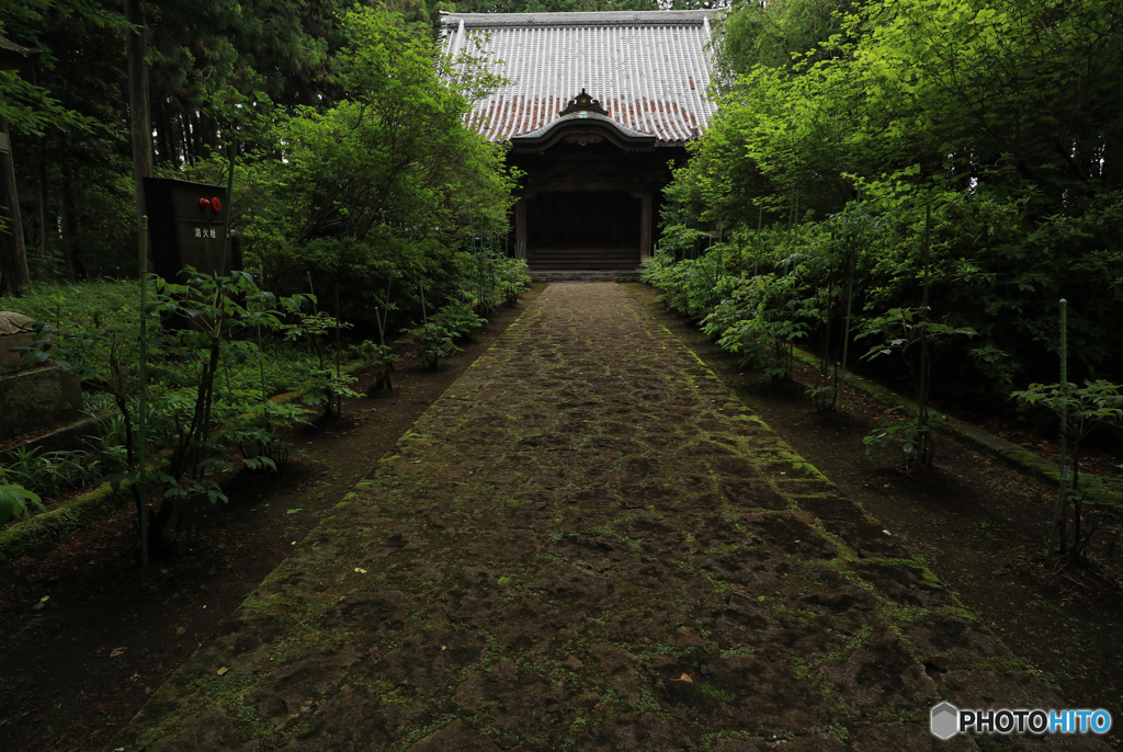 緑の参道