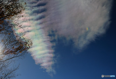 白昼の彩雲 -2