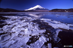 春の気配