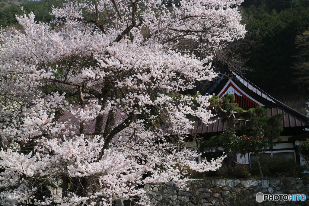 山寺の春 -4