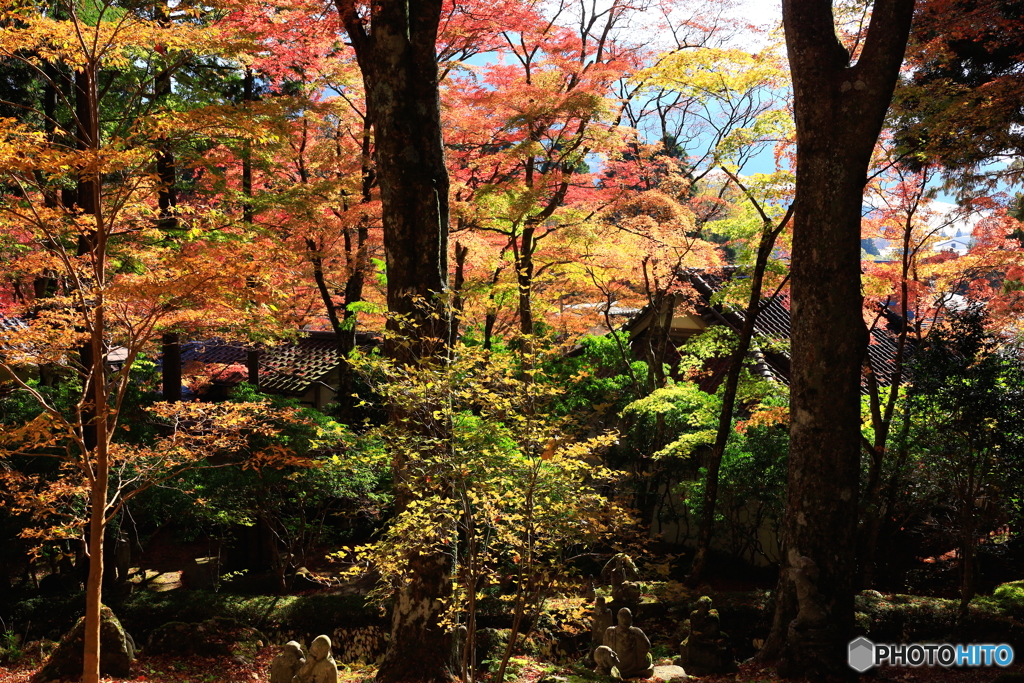 山寺の秋 -3