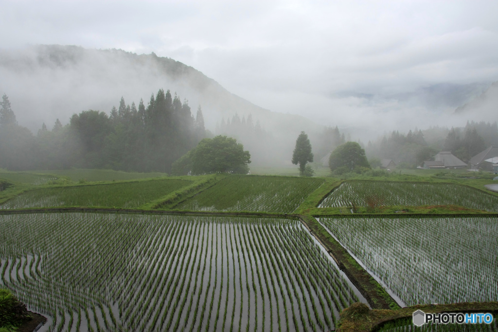 青鬼（あおに）の朝  (285T)
