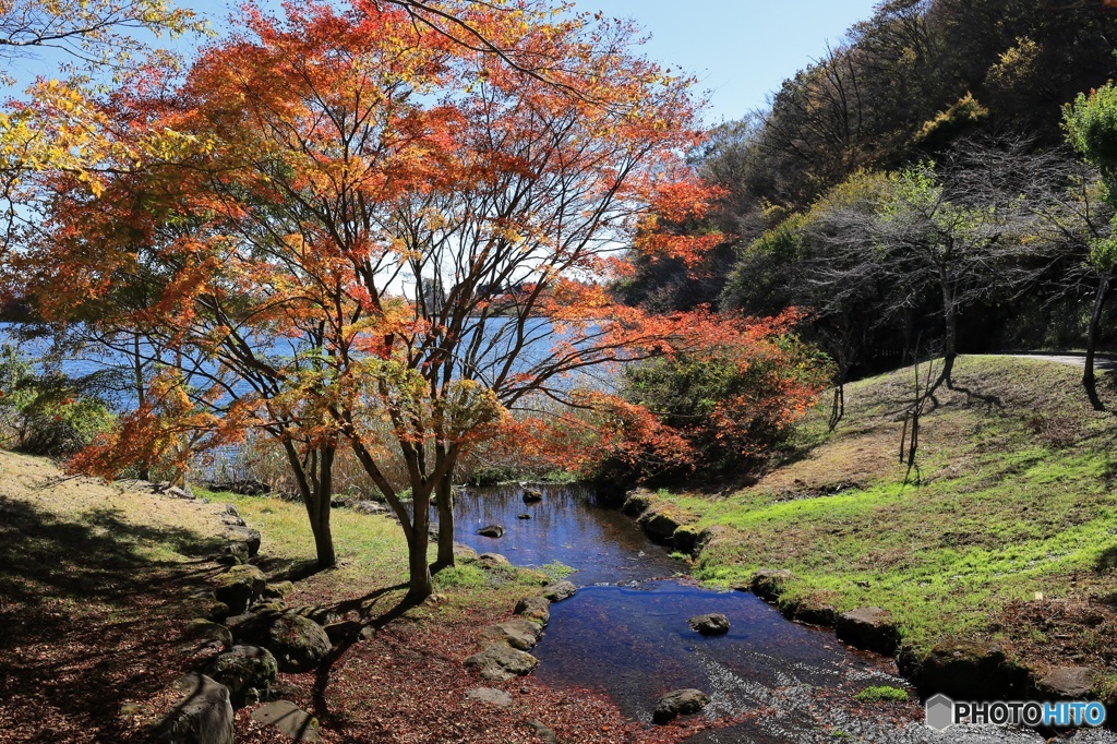 秋の湖畔